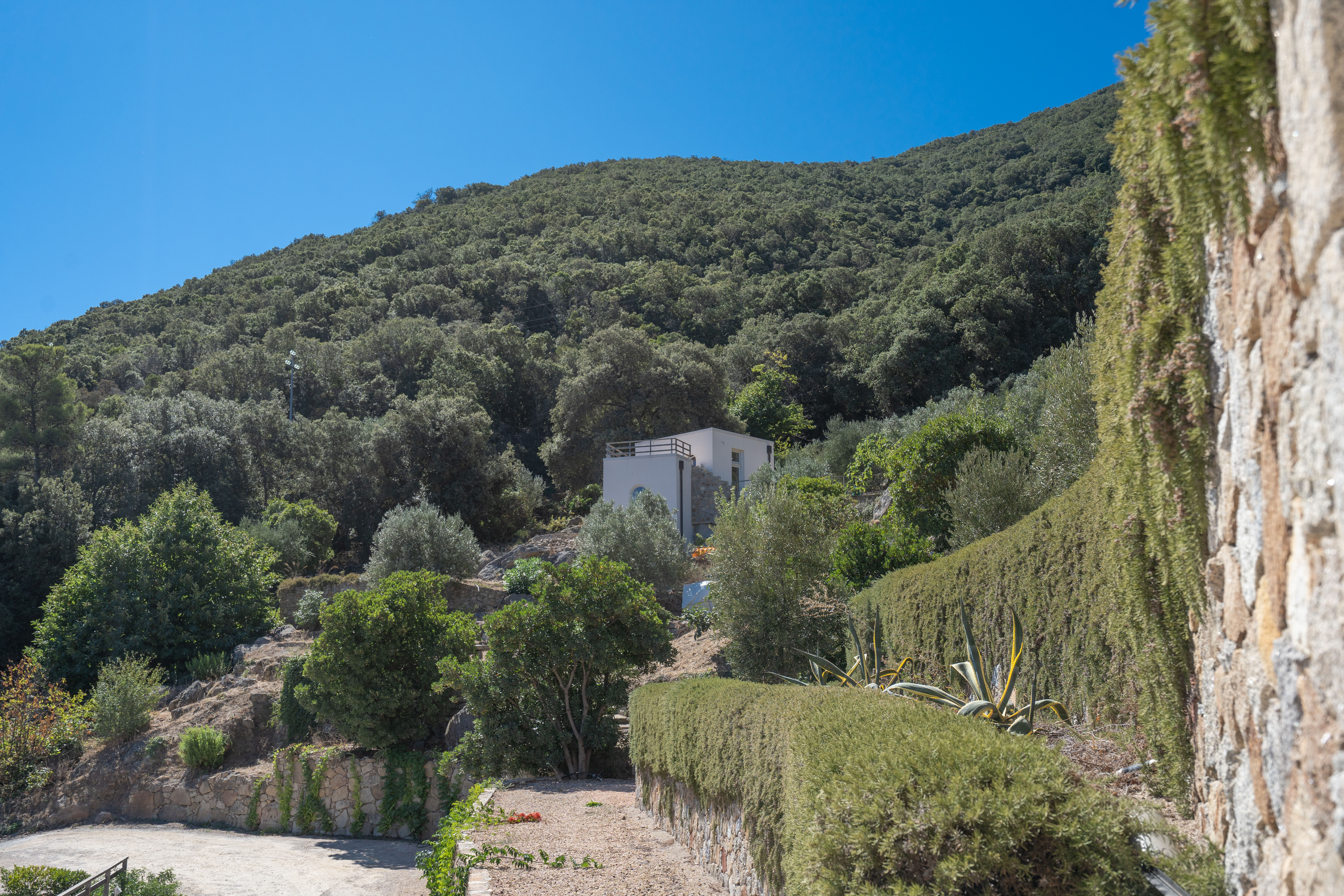 Isola del Giglio